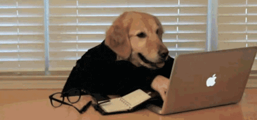 3e4c357f210d7a2edbafe638efbf8be7.gif 3e4c357f210d7a2edbafe638efbf8be7.gif